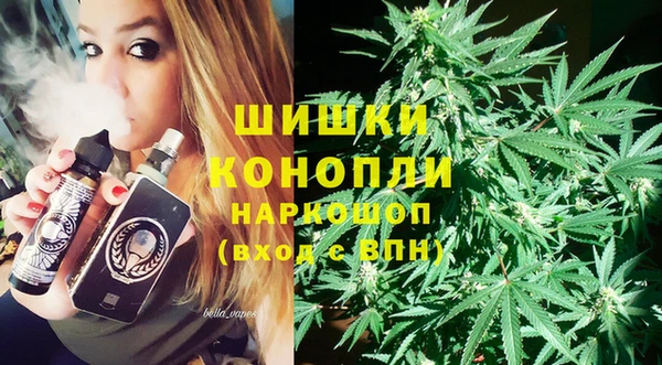 индика Абинск