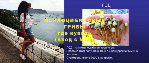 apvp Абаза
