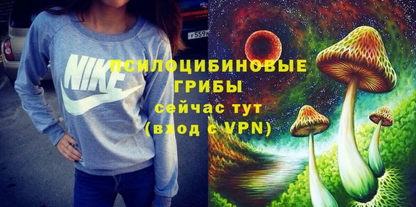 СК Абдулино
